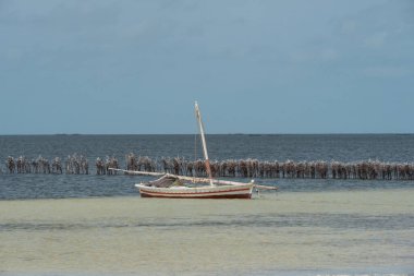 Geleneksel yerel balıkçı teknesi Kerkennah Archipeligo 'da Akdeniz, Tunus, Kuzey Afrika' daki Gabes Körfezi 'nde demirlemiş.. 