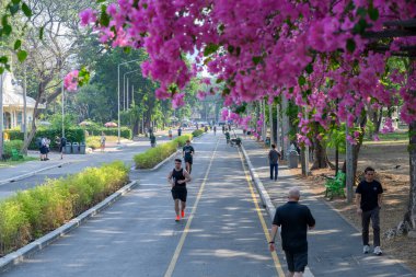 Bangkok, Tayland. 4 Mart 2025. Bangkok 'taki Lumphini Parkı, Tayland başkentinde yürüyüş ve yürüyüş için popüler bir yeşil alan