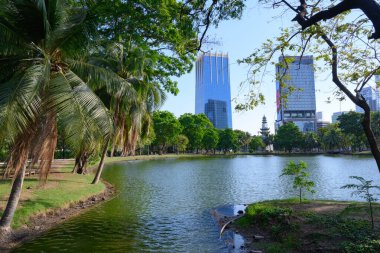 Bangkok, Tayland. 4 Mart 2025. Bangkok, Lumphini Parkı 'ndaki gölün yanında sakin ve huzurlu bir ortam.