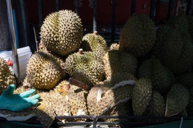 Durian meyvesi, yeşil dikenli kabuğuyla, Tayland 'ın Bangkok kentindeki bir sokak gıda pazarında görülen Güneydoğu Asya mutfağında ve geleneksel tıpta kendine özgü bir kokusu olan popüler bir besleyici meyvedir..