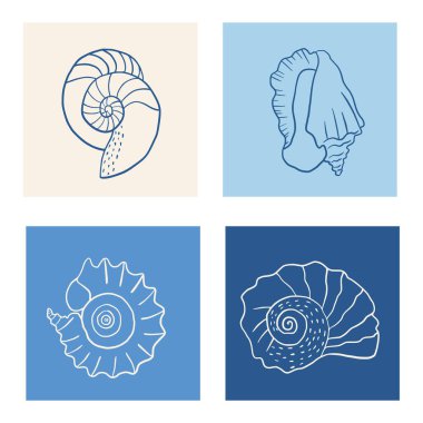 El çizimi mürekkep kabukları ile arka plan seti. Moda posteri, davetiyesi, afişi ve menü kapağı için yaz kıyı tasarımı ögeleri.