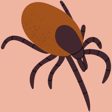 İnsan derisini ısıran beyin iltihabı lyme hastalığına neden olur. Vahşi ya da yerli kene, deri parazitleri. Ev tozu alerjisi. Sağlık hizmetleri illüstrasyonu..