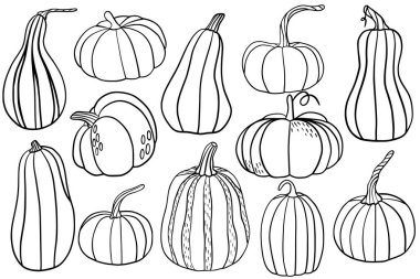 Çizgili balkabağı seti. Minimalist sonbahar ve Cadılar Bayramı koleksiyonunda farklı şekillerde balkabakları var. Mevsimlik dekorasyon, baskılar, çıkartmalar, kartlar ve ambalaj için mükemmel.