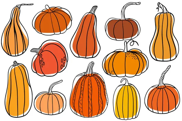 Çizgili balkabağı seti. Minimalist sonbahar ve Cadılar Bayramı koleksiyonunda farklı şekillerde balkabakları var. Mevsimlik dekorasyon, baskılar, çıkartmalar, kartlar ve ambalaj için mükemmel.