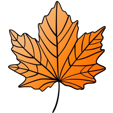 Turuncu akçaağaç yaprağı çizimi, kalın hatlı, sonbahar için ideal. Düz elle çizilmiş vektör çizimi posterler, tebrik kartları, çıkartmalar ve doğa temalı tasarımlar için mükemmeldir..