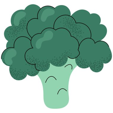  Dümdüz yeşil brokoli. Sağlıklı beslenme temaları, vejetaryen yemekleri, beslenme tasarımı ve vegan yaşam tarzı için vektör gıda çizimi.