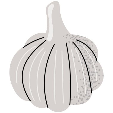 Karanfilli sarımsak ampulünün düz vektör çizimi. Yemek temalı projeler, sağlıklı gıda tasarımları ve doğal malzemeler için ideal..