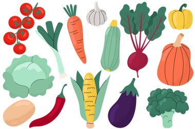 Renkli sebzeler, düz stil. Domates, havuç, patlıcan, sarımsak, mısır, kabak, pancar, biber, patates, pırasa, brokoli ve lahana da dahil olmak üzere el yapımı sağlıklı gıda koleksiyonu.