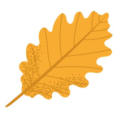 Yumuşak kıvrımlı ve kalın şekilli düz meşe yaprağı. Sonbahar temalı kompozisyonlar ve mevsimsel tasarım için ideal.