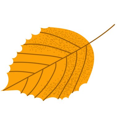 Düz kenarlı küçük sarı huş yaprağı. Sonbahar dekorasyonu ve asgari mevsim tasarımları için mükemmel..