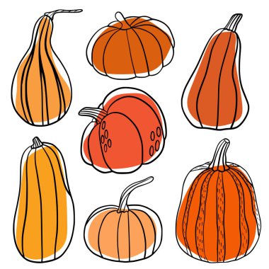 Çizgili balkabağı seti. Minimalist sonbahar ve Cadılar Bayramı koleksiyonunda farklı şekillerde balkabakları var. Mevsimlik dekorasyon, baskılar, çıkartmalar, kartlar ve ambalaj için mükemmel.