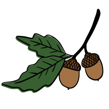 Sonbahar yapraklarıyla çevrili bir meşe palamudu çizgisi çizimi, açık arkaplanda minimalist siyah darbeler çizilmiş..