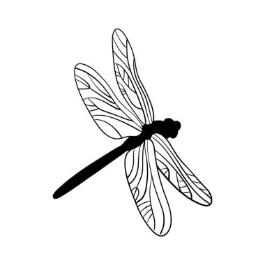 Minimalist çizgili yusufçuk çizimi. Hassas kanatlı zarif böcek çizimi, basit taslak, doğa, dövme veya dekoratif tasarımlar için mükemmel..