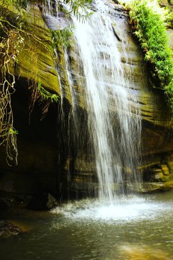 Serenity Falls Queensland Avustralya Şelalesi