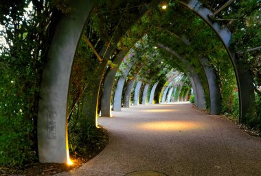 Güney Kıyısı Brisbane Avustralya Kemer Yolu