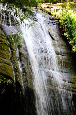 Queensland Serenity Falls Şelalesi