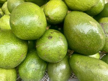 Taze yeşil avokado yığını.