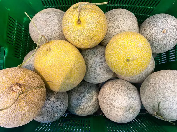 Bir yığın yuvarlak kavun, biraz sarı, biraz grimsi yeşil.