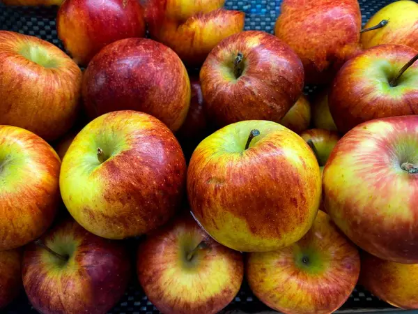 Kırmızı ve yeşilin çeşitli tonlarında taze, renkli elmalar yığını..