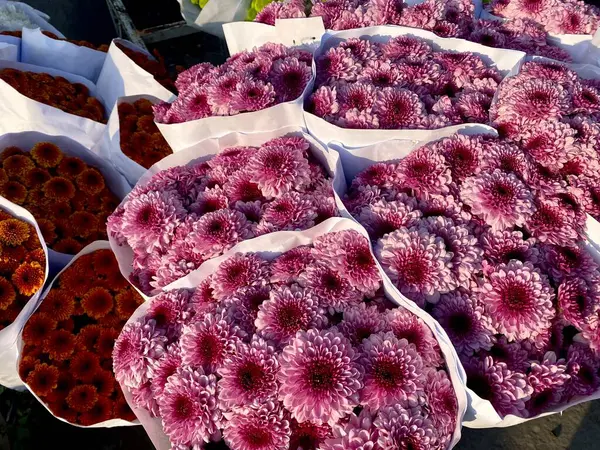 Beyaz kağıda sarılmış bir sürü çiçek.