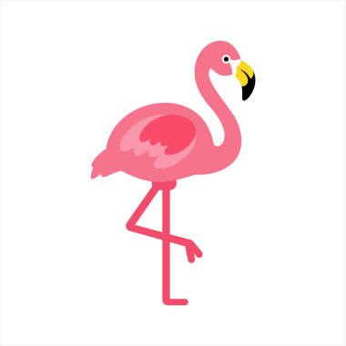 Pembe flamingo tek ayak üstünde duruyor..