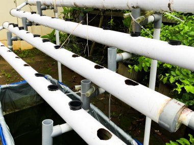 Bitki gelişimini içeren birkaç sıra beyaz borunun bulunduğu hidrofonik sistemin yakın çekim görüntüsü. Bu kurulum çeşitli ürünler yetiştirmek için verimlidir.