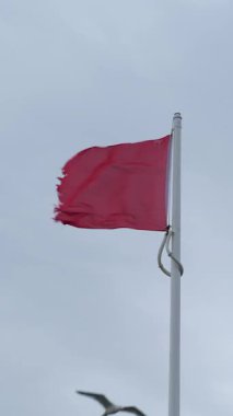 Gri gökyüzüne karşı bayrak direğinde kırmızı bayrak. Martılar dalgalanıyor. Rüzgarlı hava.