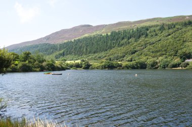 Bereketli yeşil ormanlarla çevrili tekneli dağ gölü ve parlak bir yaz gökyüzünün altında yuvarlanan tepeler. Manzaralı açık hava manzarası. Yüksek kalite fotoğraf