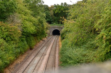 Tünele giden tren yolu. Yağmur ormanlarından geçen bir demiryolu tüneli. Trenle yolculuk. Yüksek kalite fotoğraf