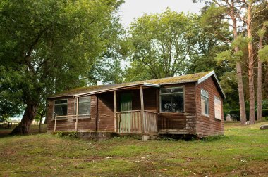 Çimenli bir ormanda ağaçların arasında duran eski terk edilmiş ahşap kulübe. Kırsal yapı doğayla çevrili..