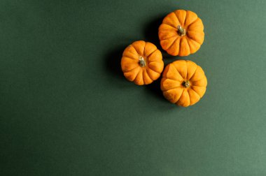 Koyu yeşil bir yüzeye yerleştirilmiş üç küçük turuncu balkabağının üst görüntüsü, minimum sonbahar kompozisyonu.