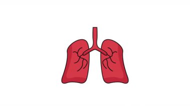 Ciğerleri Simge Animasyonu. Alfa Kanalı ve Şeffaf Arkaplan ile 4k Canlandırma