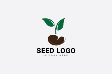 tohum logo vektör şablonu
