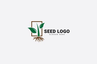tohum logo vektör şablonu