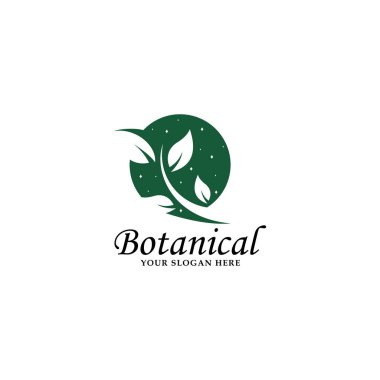 Botanik logo vektör şablonu