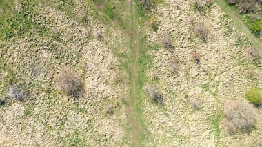 Baharda tarlaların manzarası