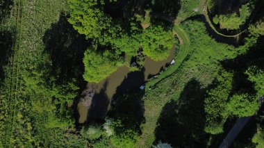 Ormandaki nehrin havadan görünüşü.