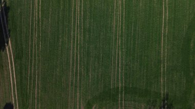 Chester 'daki yeşil alanlar ve tarlalar