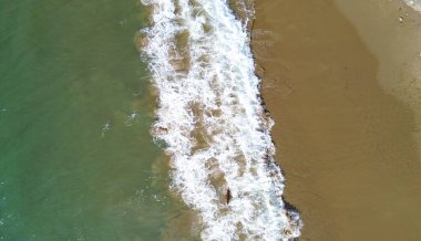 Dalgalarda oynayan köpeklerin havadan görünüşü, Galler.