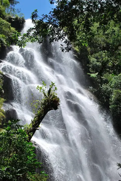 Güzel bir şelale, yemyeşil yapraklar arasında suyun gücünü ön plana çıkaran, açık bir günde güneş ışığıyla aydınlatılan, bereketli bir doğal manzara yaratan kayalara dökülür..