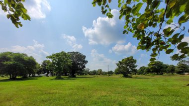 Parlak Gökyüzünün Altındaki Yeşil Saha.