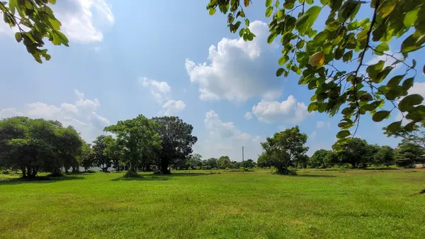 Parlak Gökyüzünün Altındaki Yeşil Saha.