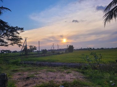 Sakin bir günbatımı geniş yeşil alanlar üzerine sıcak renkler bırakır. Ağaçlar ve elektrik hatları kırsal manzaraya derinlik katarak huzurlu ve resimsel bir manzara yaratıyor..