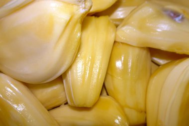 Taze Jackfruit Pod 'larına yakın çekim.