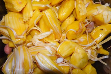 Taze, olgun sarı jak meyveli ampullerden yakın plan bir makro çekim. Tatlı, tropikal meyve eti yemeye hazır, canlı ve dokulu bir arka plan oluşturuyor..