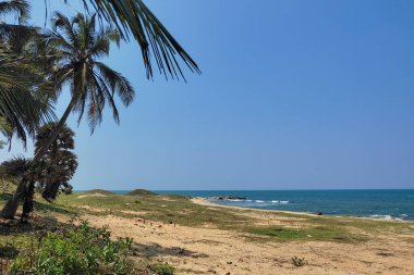  Palmiye ağaçları, altın kumu ve berrak, güneşli bir gökyüzünün altında sakin mavi bir okyanusu olan sakin tropikal bir sahil. Tatil için mükemmel bir cennet..