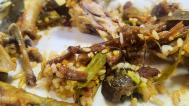 Arta kalan tavuk kemikleri, pirinç taneleri ve sebzeleri doyurucu bir ev yemeğinden sonra tabağa koy..