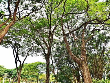 Spor, Rekreasyon ve İşçi Eğitim Merkezi (CERET) Mayıs 2008 'de Belediye Spor, Tatil ve Rekreasyon Sekreterliği komutası altında geldi..