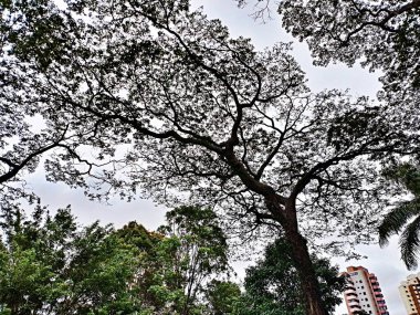 Spor, Rekreasyon ve İşçi Eğitim Merkezi (CERET) Mayıs 2008 'de Belediye Spor, Tatil ve Rekreasyon Sekreterliği komutası altında geldi..