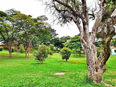 Spor, Rekreasyon ve İşçi Eğitim Merkezi (CERET) Mayıs 2008 'de Belediye Spor, Tatil ve Rekreasyon Sekreterliği komutası altında geldi..